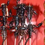 Scorpions au marché de Donghuamen à Pékin