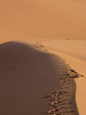 dunes desert marocain