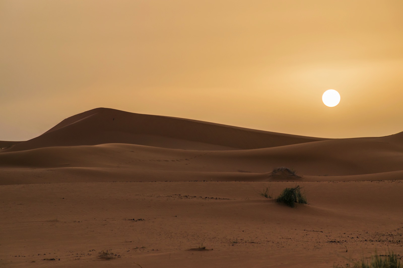 Désert Au Maroc Erg Chebbi Ou Erg Chegaga Où Aller Dans