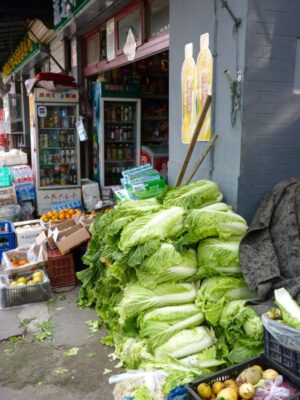 Choux chinois dans les hutong de Pékin