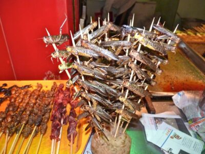 Brochettes d'insectes à Pékin