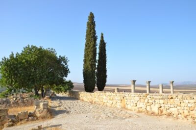 Volubilis