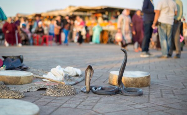 Boycott de Marrakech