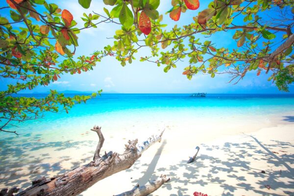 Plage sur Koh Similan