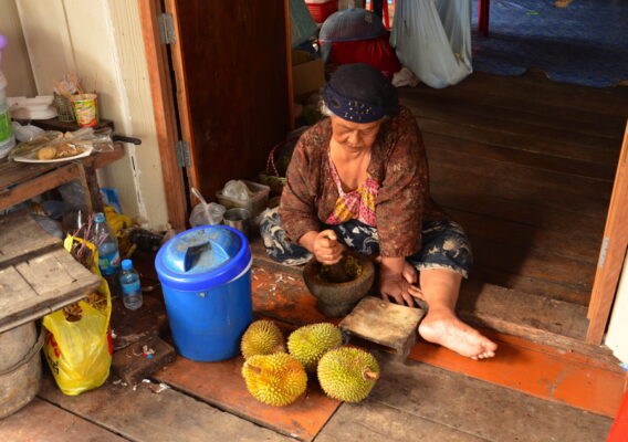 durian koh panyee