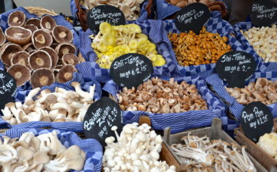champignons marché amsterdam