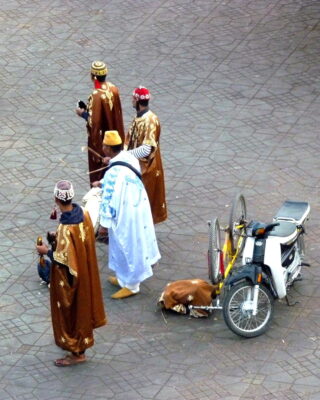 gnaoua marrakech jemaa el fna