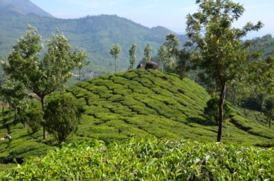 Munnar