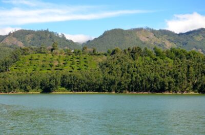 route top station kerala munnar