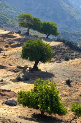 Environs de Chefchaouen