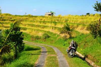 Balade à Jatiluwih