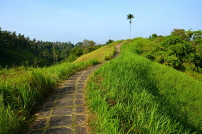 Camphuan près d'Ubud à Bali