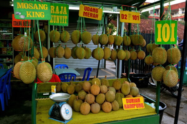 Durian à Kampung Baru