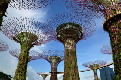 Gardens by the Bay