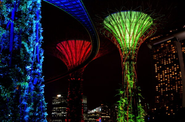 Gardens by the Bay by night