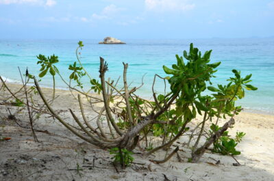 Plage des îles Perhentian