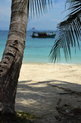 Vue sur la plage