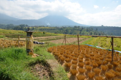 Jatiluwih (Bali)