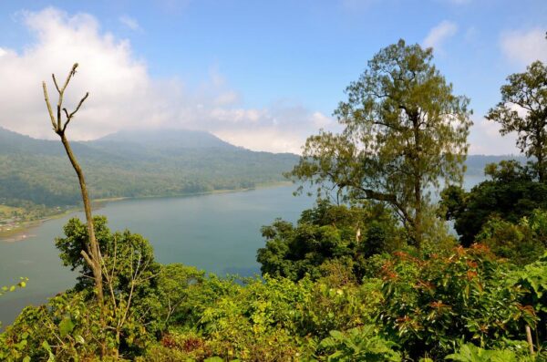 Panorama à Kintamani