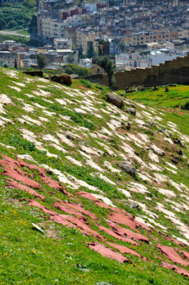 Peaux au soleil près des tombeaux mérinides à Fès