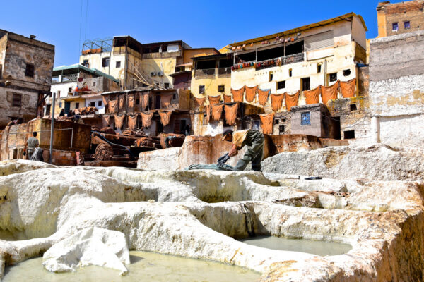 Tannerie Chouara de Fès