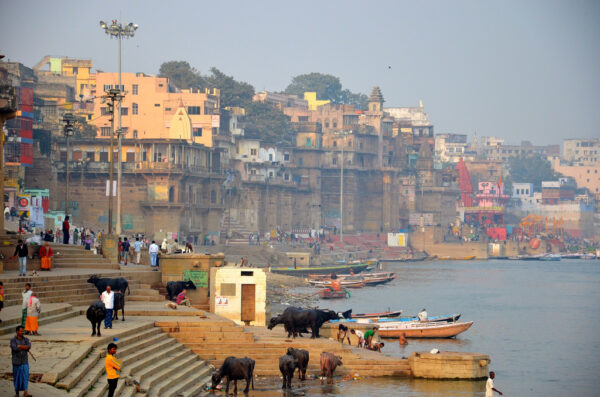 Agitation sur les ghats