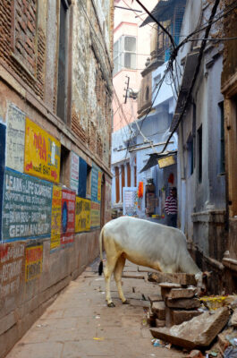 Ruelle de Varanasi