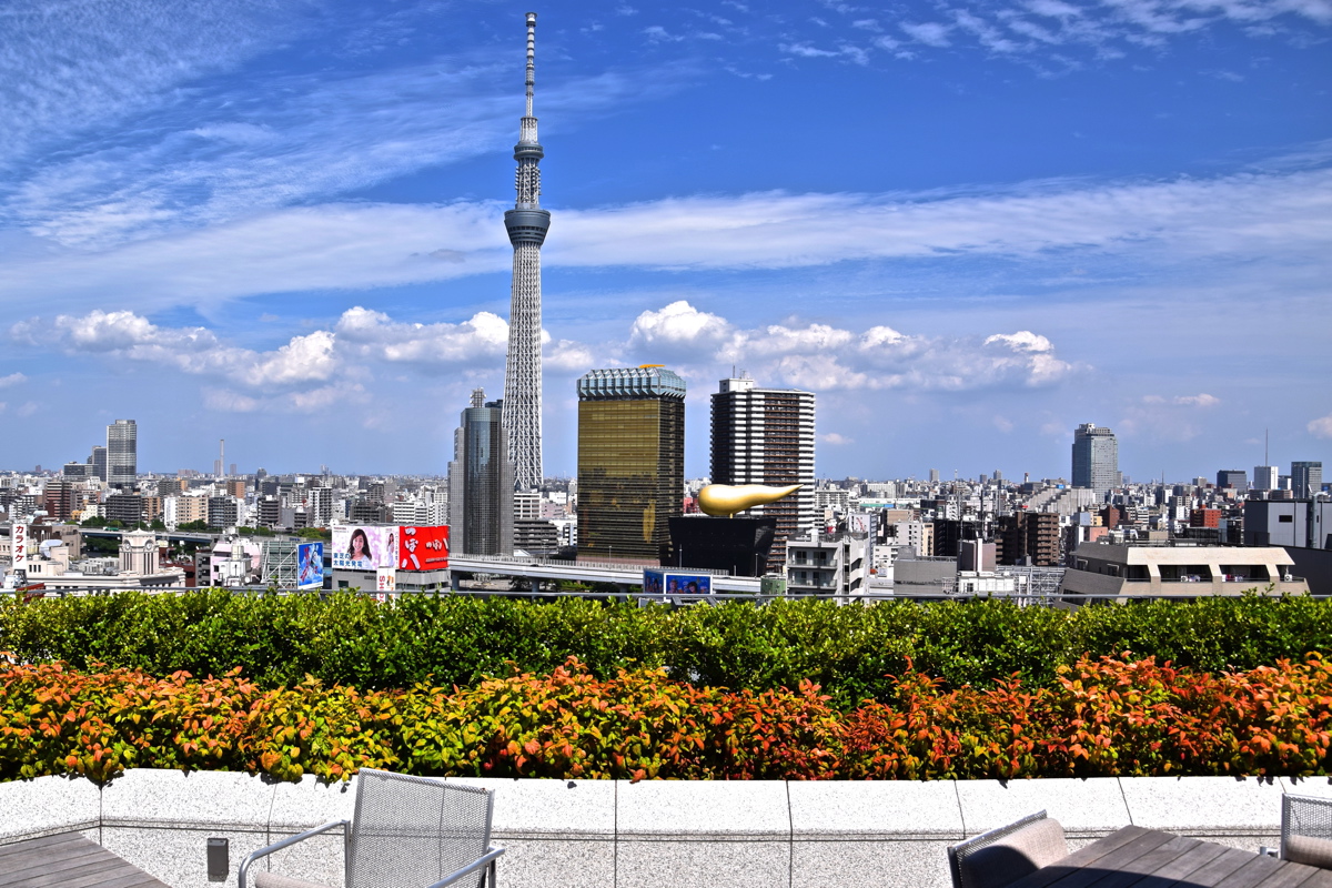 Carnet de voyage JAPON: Journal de bord à remplir sur 30 jours | Préparez  et organisez votre voyage, planifiez votre budget, votre itinéraire, notez