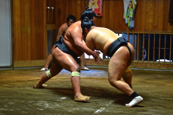 Entraînement de sumo à Tokyo