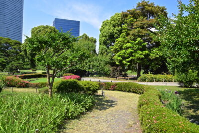Hamarikyu garden à Tokyo