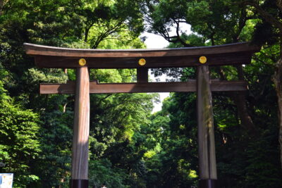 Torii du Meiji jingu