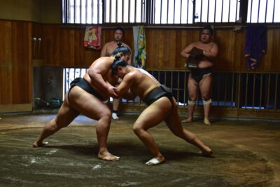 Entraînement de sumo à Tokyo
