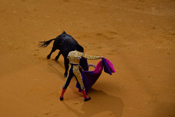 Corrida à Saragosse