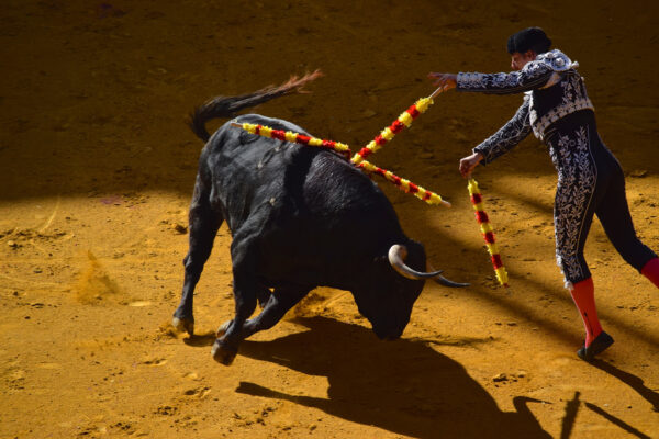 Corrida à Saragosse en Espagne