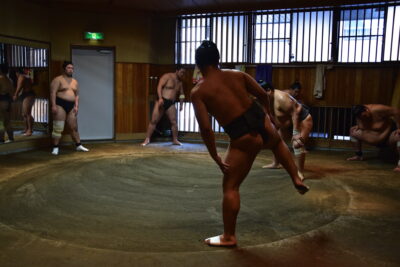 Training session - Sumo