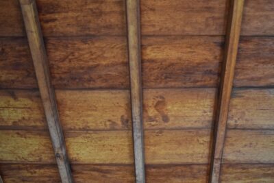 Plafond de sang au temple Genko-an de Kyoto