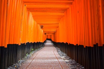 Allée de torii à Kyoto