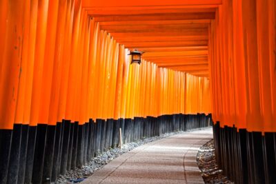 Allée de torii à Kyoto