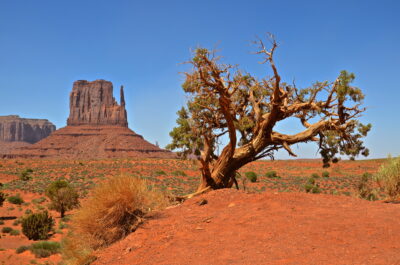 Monument Valley