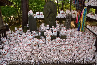 Gotoku-ji, temple du maneki-neko