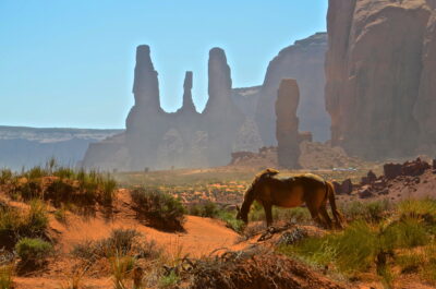 Cheval à Monument Valley