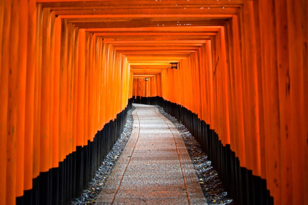 Allée de torii à Kyoto