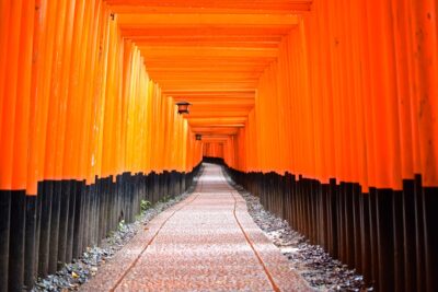 Allée de torii à Kyoto