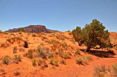 Wildcat trail à Monument Valley