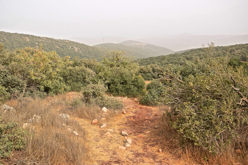 Ajloun