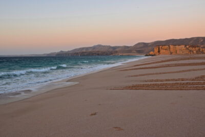 Plage de Ras al Jinz à Oman