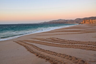 Traces de tortues sur la plage de Ras al Jinz