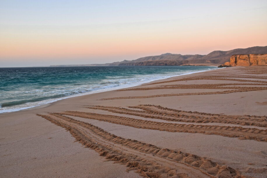 Traces de tortues sur la plage de Ras al Jinz