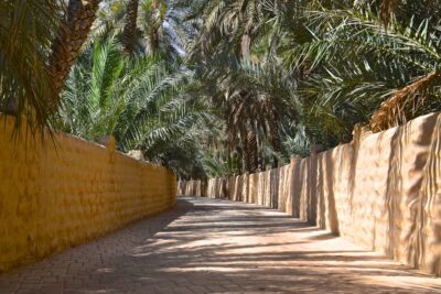 Oasis d'Al Aïn