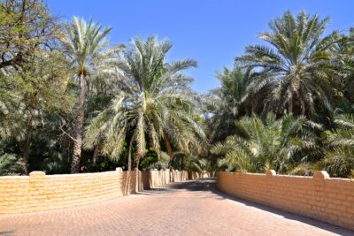 Oasis d'Al Aïn